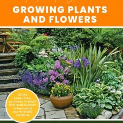 The First-Time Gardener: Growing Plants and Flowers: All the know-how You need to plant and tend outdoor areas using eco-friendly methods - Sean McManus