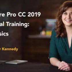 Premiere Pro CC 2019 Essential Training: The Basics