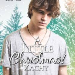 A Little Christmas: Ajay's Secret - Layla Dorine