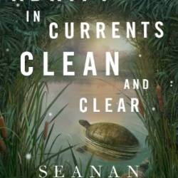 Adrift in Currents Clean and Clear - Seanan McGuire