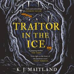 Traitor in the Ice: Treachery has gripped the nation. But the King has spies everywhere. - [AUDIOBOOK]