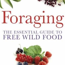 Foraging The Essential Guide to Free Wild Food A practical guide to finding and preparing free wild food - John Lewis-Stempel