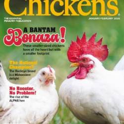 Chickens - January February 2025