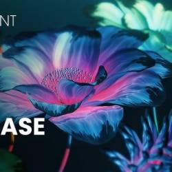 Maxon Red Giant 2026.2.0 (x64)