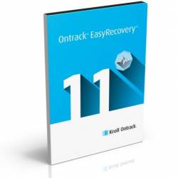 Ontrack EasyRecovery Professional 11.0.1.0 (2013) 