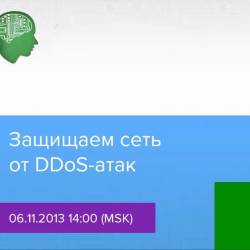    DDoS- (2013)
