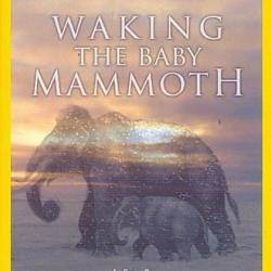 :    ( ) / Waking the Baby Mammoth (2009) HDTVRip (AVC)