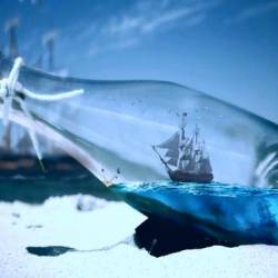 Ship in a Bottle Birds -  