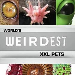     : XXL / World's Weirdest: XXL Pets (2013) HDTVRip