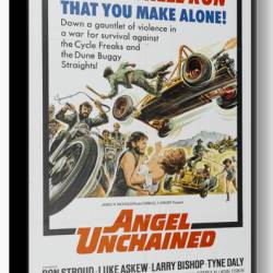   /    / Angel unchained (1970) DVDRip /   