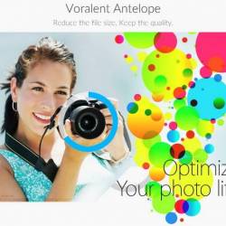 Voralent Antelope v.4.1 + Portable + Rus
