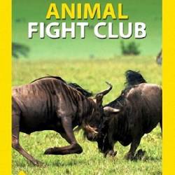    .   / Animal Fight Club (2015) HDTVRip