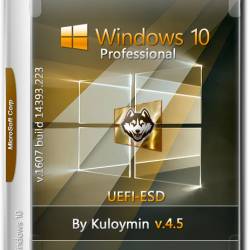 Windows 10 Pro x64 14393.223 by Kuloymin v.4.5 UEFI-ESD (RUS/2016)