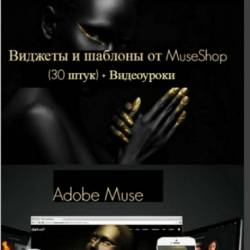 Adobe Muse:     MuseShop (30 ) + 