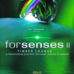 Forsenses II:  .        (2011) BDRip-720p