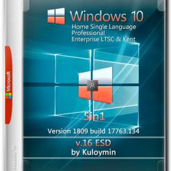 Windows 10 x64 1809.17763.134 5in1 v.16 ESD by Kuloymin (RUS/2018)