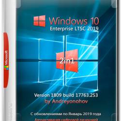 Windows 10 Enterprise LTSC x86/x64 2in1 v.1809.17763.253 by Andreyonohov (RUS/2019)