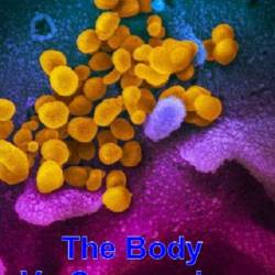    / The Body Vs. Coronavirus (2020) HDTVRip 720p