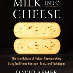 Milk Into Cheese: The Foundations of Natural Cheesemaking Using Traditional Concepts, Tools, and Techniques - David Asher