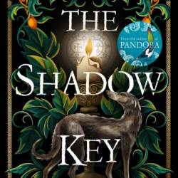 The Shadow Key: A Novel - Susan Stokes-Chapman