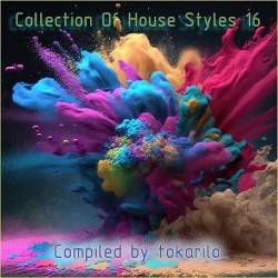 Collection Of House Styles 16 (Compiled by tokarilo) (2024) - Progressive House, Melodic House, Melodic Techno, Tech House, Deep House, Deep Techno