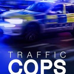 All New Traffic Cops S14E02 720p HEVC x265-MeGusta