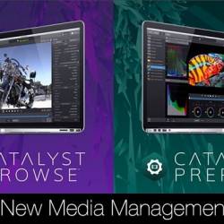 Sony Catalyst Browse Prepare Suite 2025.3
