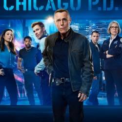 Chicago P D S13E07 Impulse Control 720p HEVC x265-MeGusta