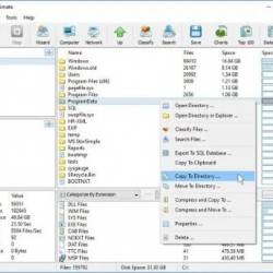 Disk Savvy 17.4.24