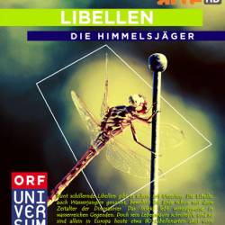  .   / Libellen - Die Himmelsj&#228;ger (2010) HDTVRip (1080p)