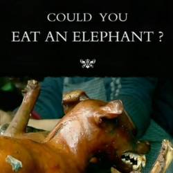     ? / Could You Eat an Elephant? (2009) SATRip