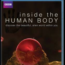    / Inside the Human Body 2011,