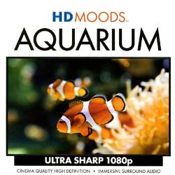  / HD Moods: Aquarium (2008) BDRip (1080p)