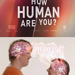   ?   / How Human Are You? (2013) HDTVRip