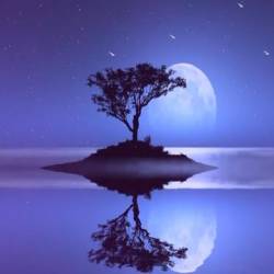 Lunar reflection -  