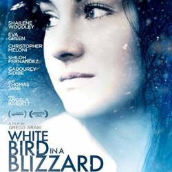     / White Bird in a Blizzard (2014) WEB-DLRip