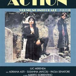 ! / Action  DVDRip  