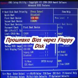  Bios  Floppy Disk (2015)