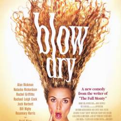   / Blow dry (2001) DVDRip - , , 