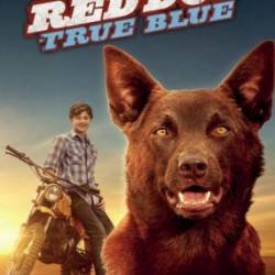 :   / Red Dog: True Blue (2016) HDRip