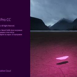 Adobe Premiere Pro CC 2019 13.0.0.225 Portable by XpucT
