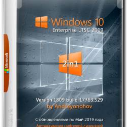 Windows 10 Enterprise LTSC x86/x64 17763.529 2in1 by Andreyonohov (RUS/2019)