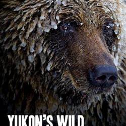    / Yukon's Wild Grizzlies (2021) HDTV 1080i