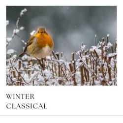 Winter Classical (2023) - Classical