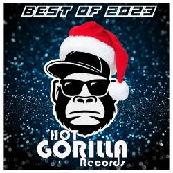 Hot Gorilla Records Best Of 2023 (2024) - Disco, Nu Disco