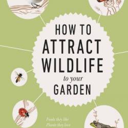 How to Attract Wildlife to Your Garden: Foods They Like, Plants They Love, Shelter They Need - Dan Rouse