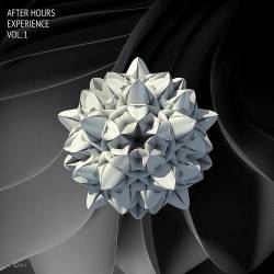 After Hours Experience Vol 1 (2024) - Progressive House, Melodic House, Melodic Techno, Trance, Organic House