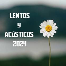 Lentos y acusticos 2024 (2024) FLAC - Latin, Pop, Dance, RnB, Reggaeton