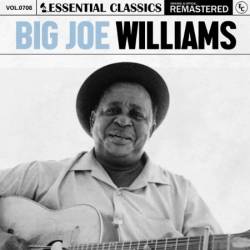 Big Joe Williams - Essential Classics, Vol. 708: Big Joe Williams (2024)