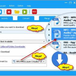 Allavsoft Video Downloader Converter 3.28.7.9473 Multilingual